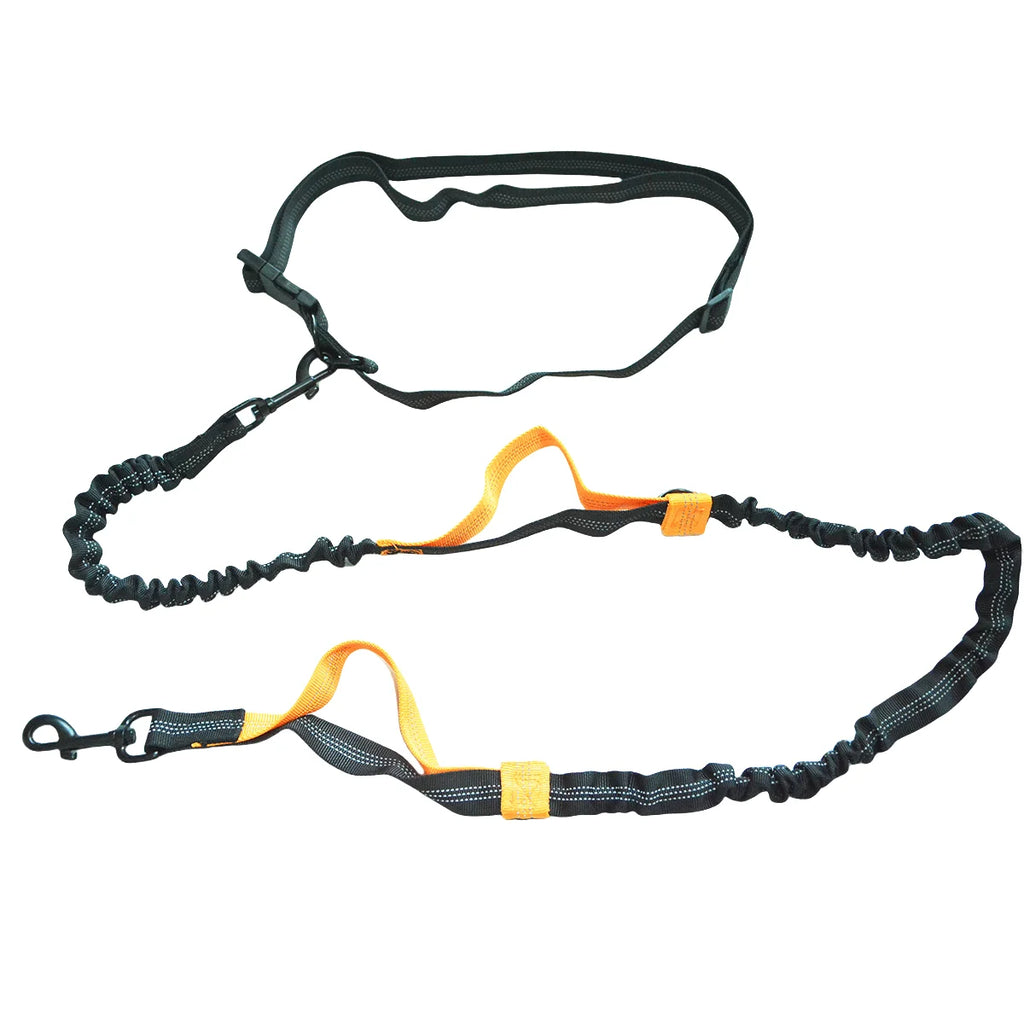 Correa para Perro con Cintura Ajustable